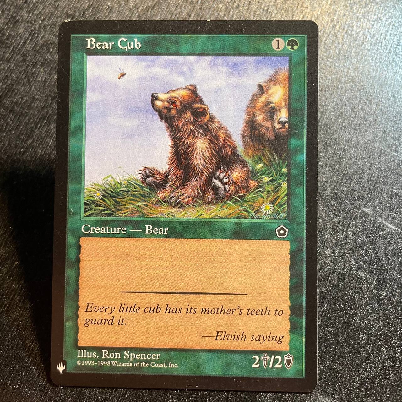 Bear Cub