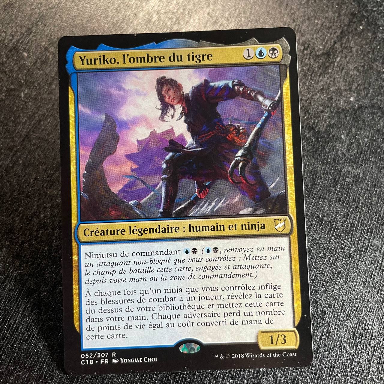 Yuriko, the Tiger's Shadow (FR)