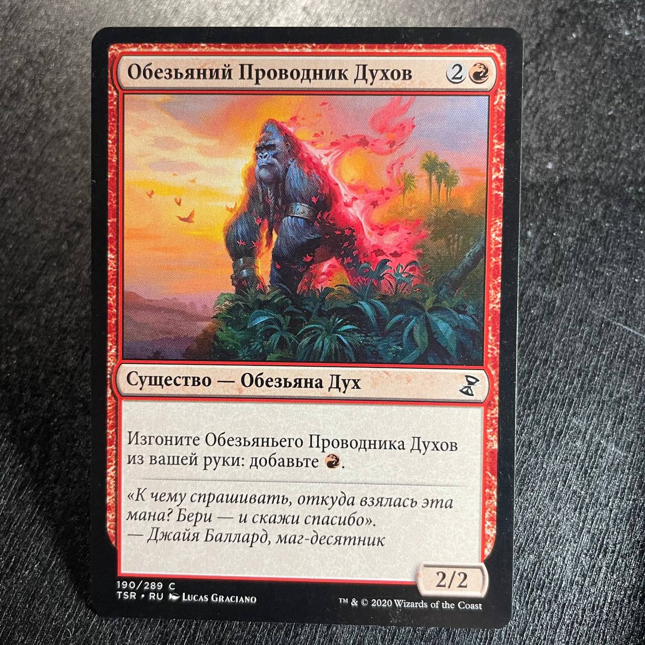 Simian Spirit Guide (ru)